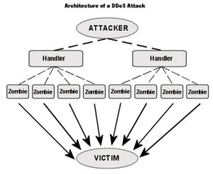 Distributed Denial of Service